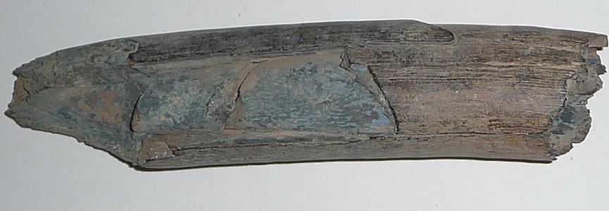 Stoßzahnfragment evtl. blau