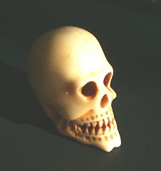 Totenkopf, Schädel aus Mammutelfenbein, Handarbeit