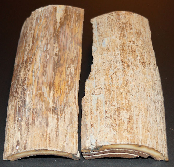 Griffschalenmaterial in Rohzustand