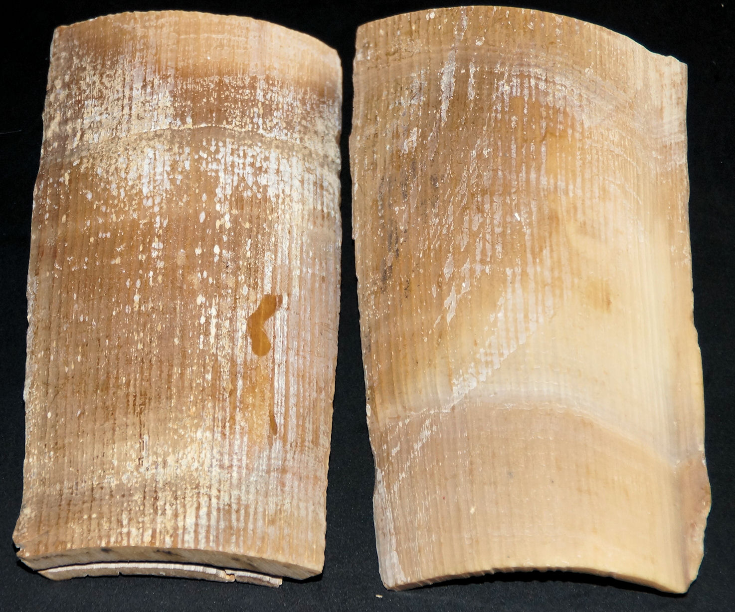 Griffschalenmaterial mittelbraun