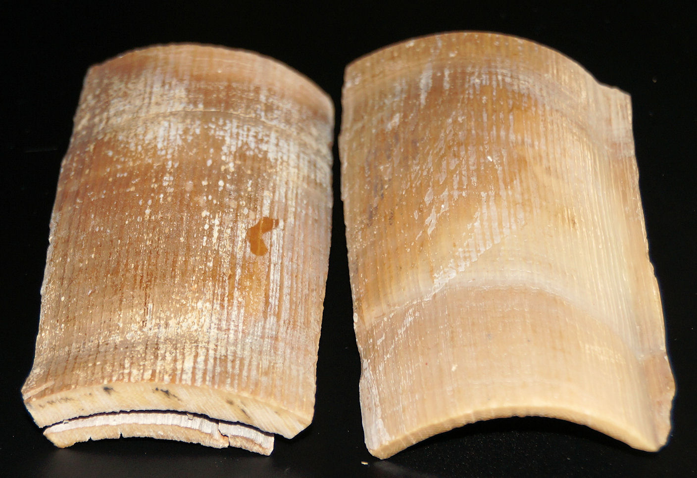 Griffschalenmaterial mittelbraun