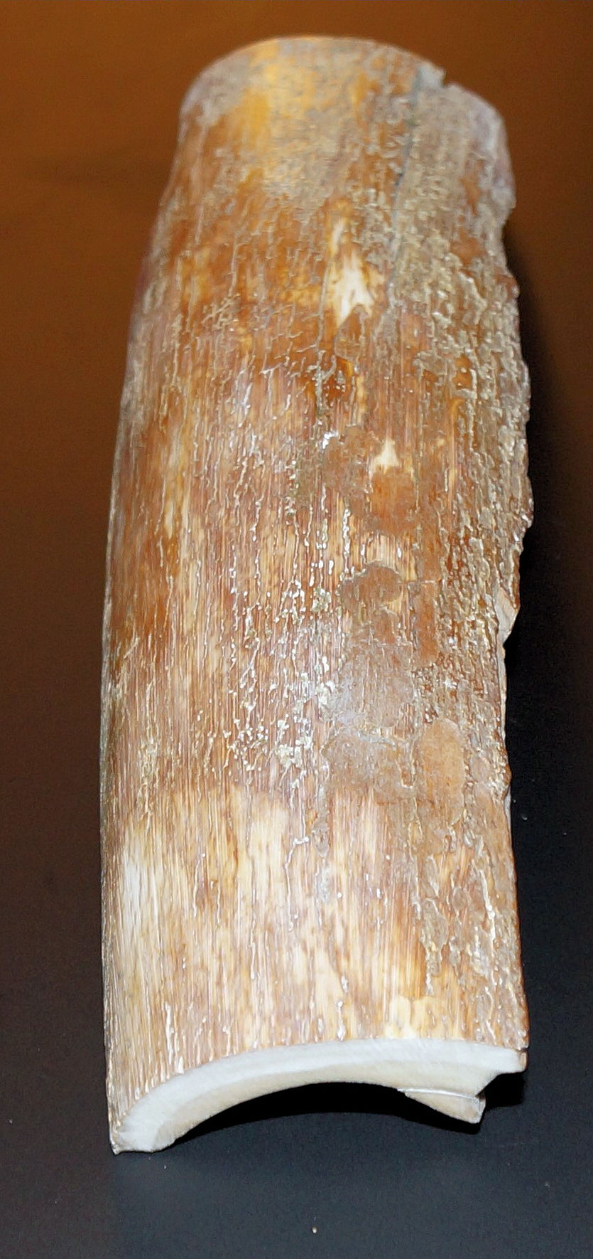 Rindenstück