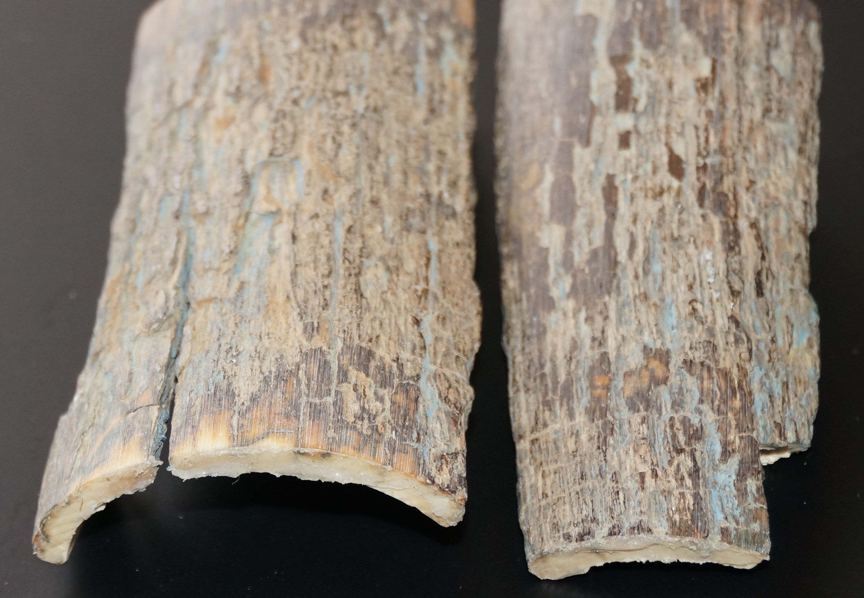 Griffschalenmaterial in Rohzustand