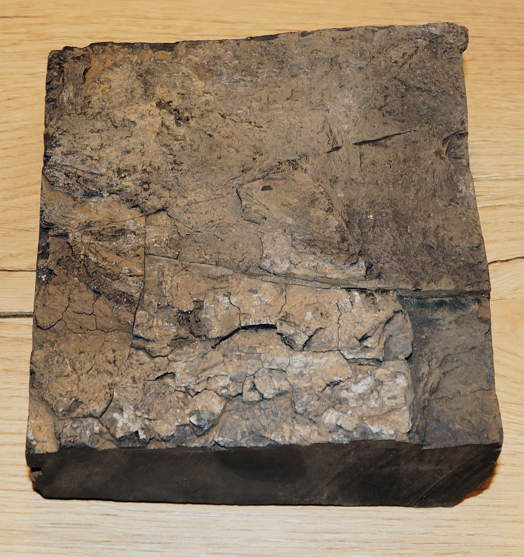 Gagatblock 14 x 15 x 3,5 cm